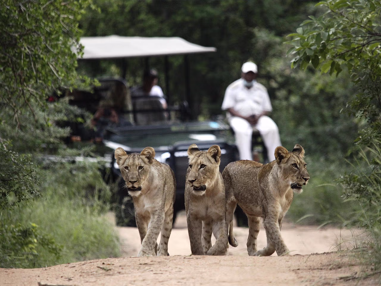 Shiduli Private Game Lodge