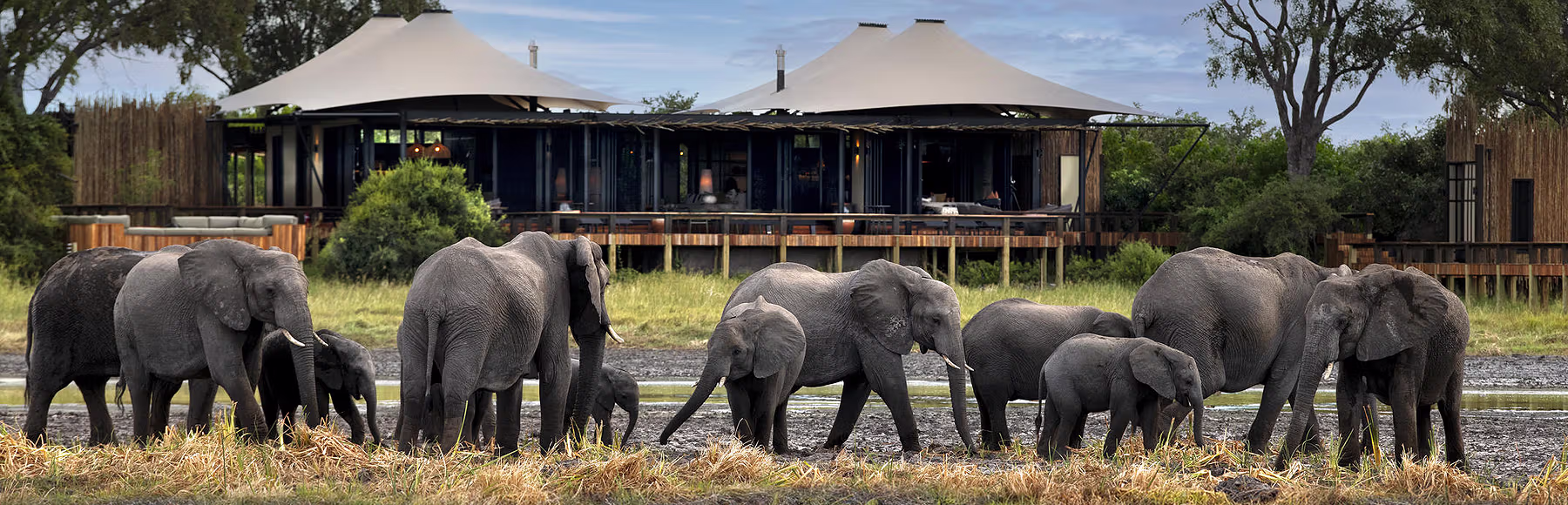 Daunara Safari Camp