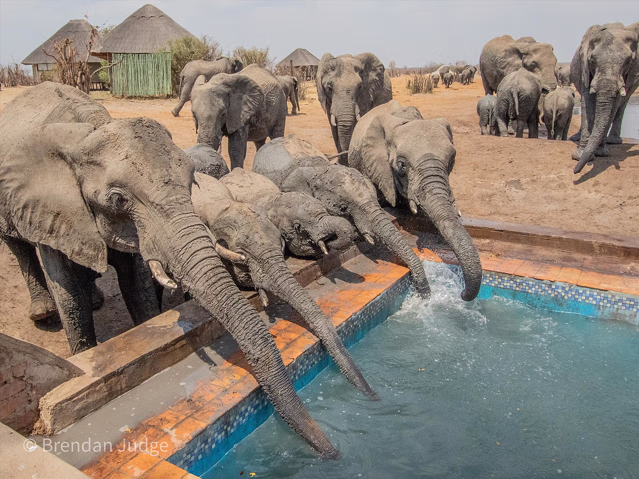 Nehimba Lodge