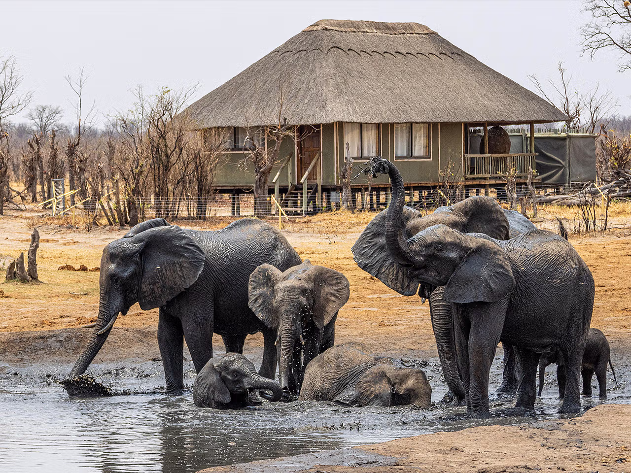 Nehimba Lodge