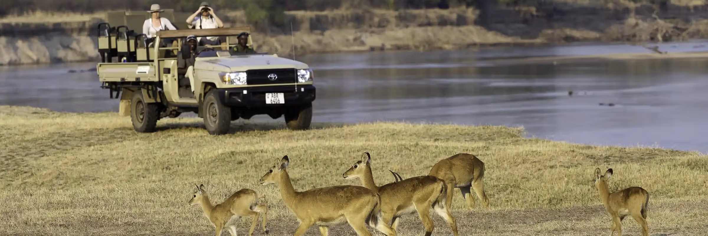Gäste in einem offenen Safari-Fahrzeug beobachten Antilopen im afrikanischen Busch.