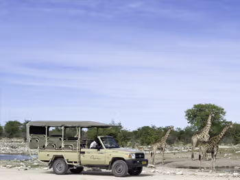 Waterhole view from the lodge in Etosha