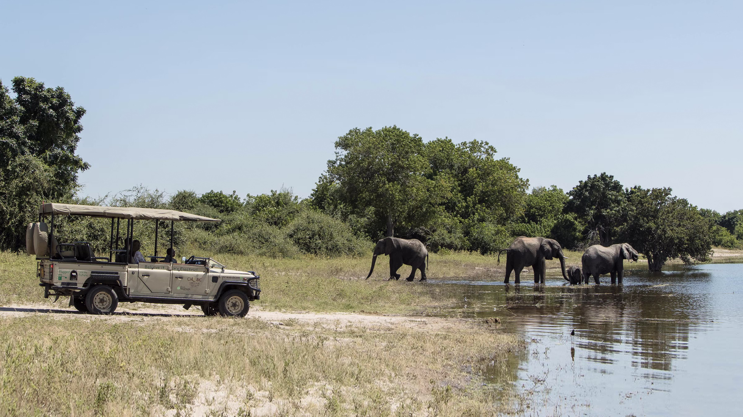 Plenty of game viewing on this trip