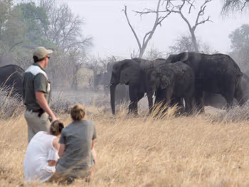Game viewing in Caprivi/Zambezi Region