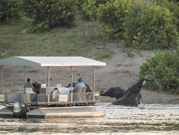 Game viewing by boat in Chobe