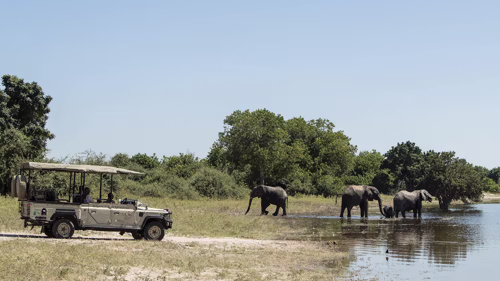 Plenty of game viewing on this trip