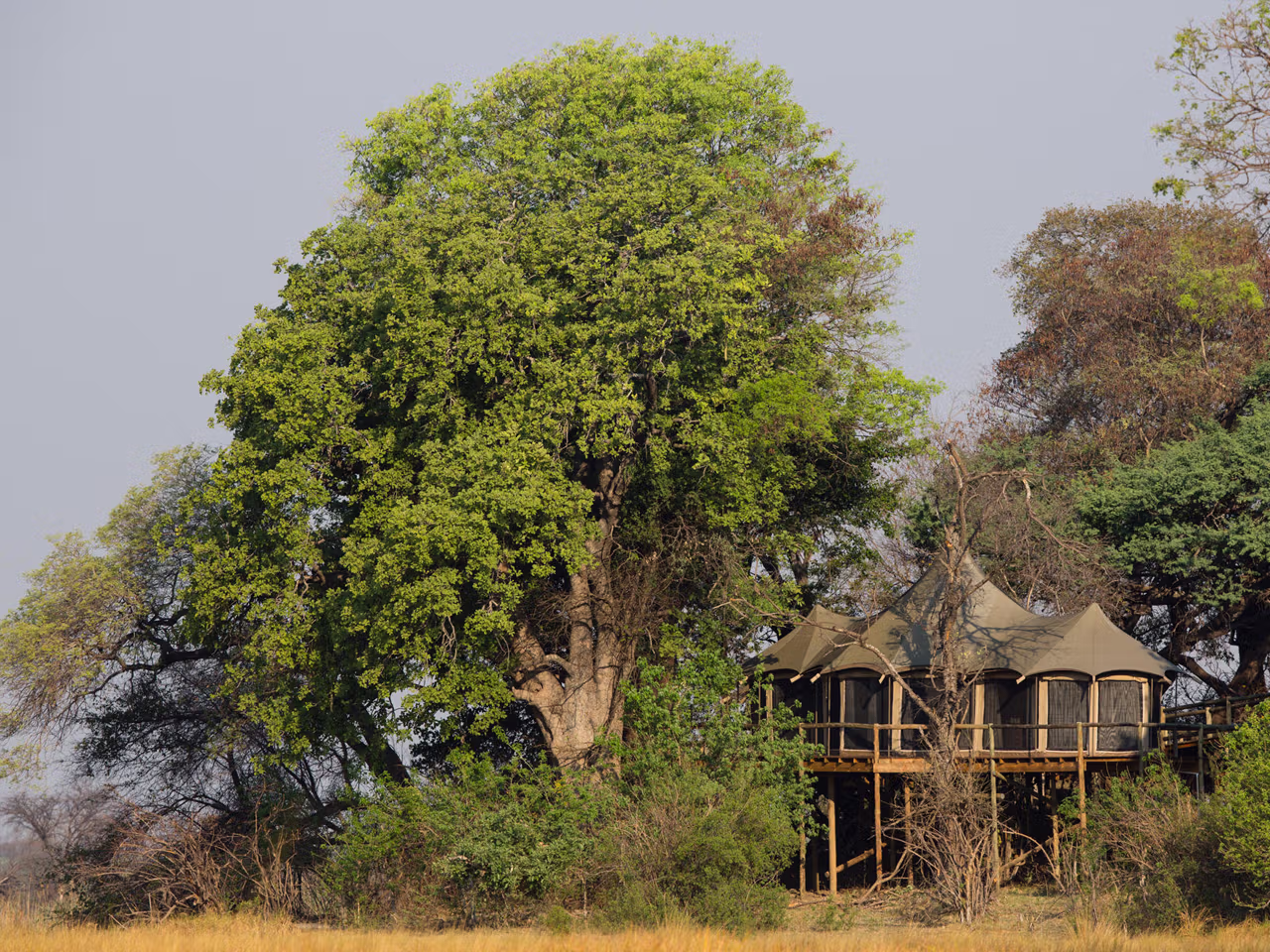 Nambwa Tented Lodge