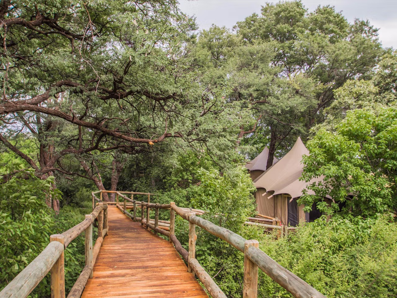 Nambwa Tented Lodge