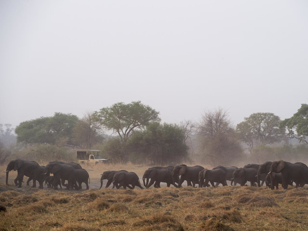 Nambwa Tented Lodge