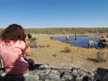 Photography at the waterhole in Etosha