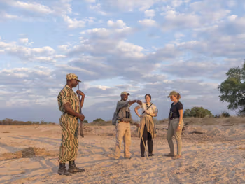 Guided walking safaris daily