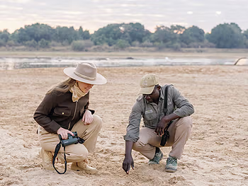 Tracking wildlife on foot