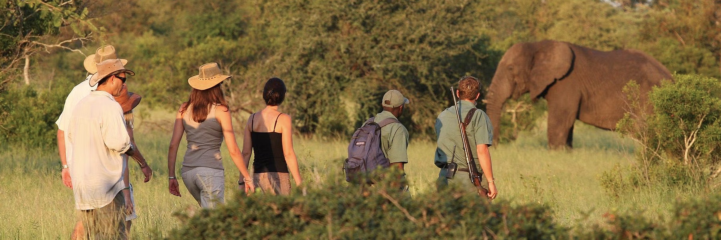 Erkunden Sie den Kruger-Nationalpark zu Fuß
