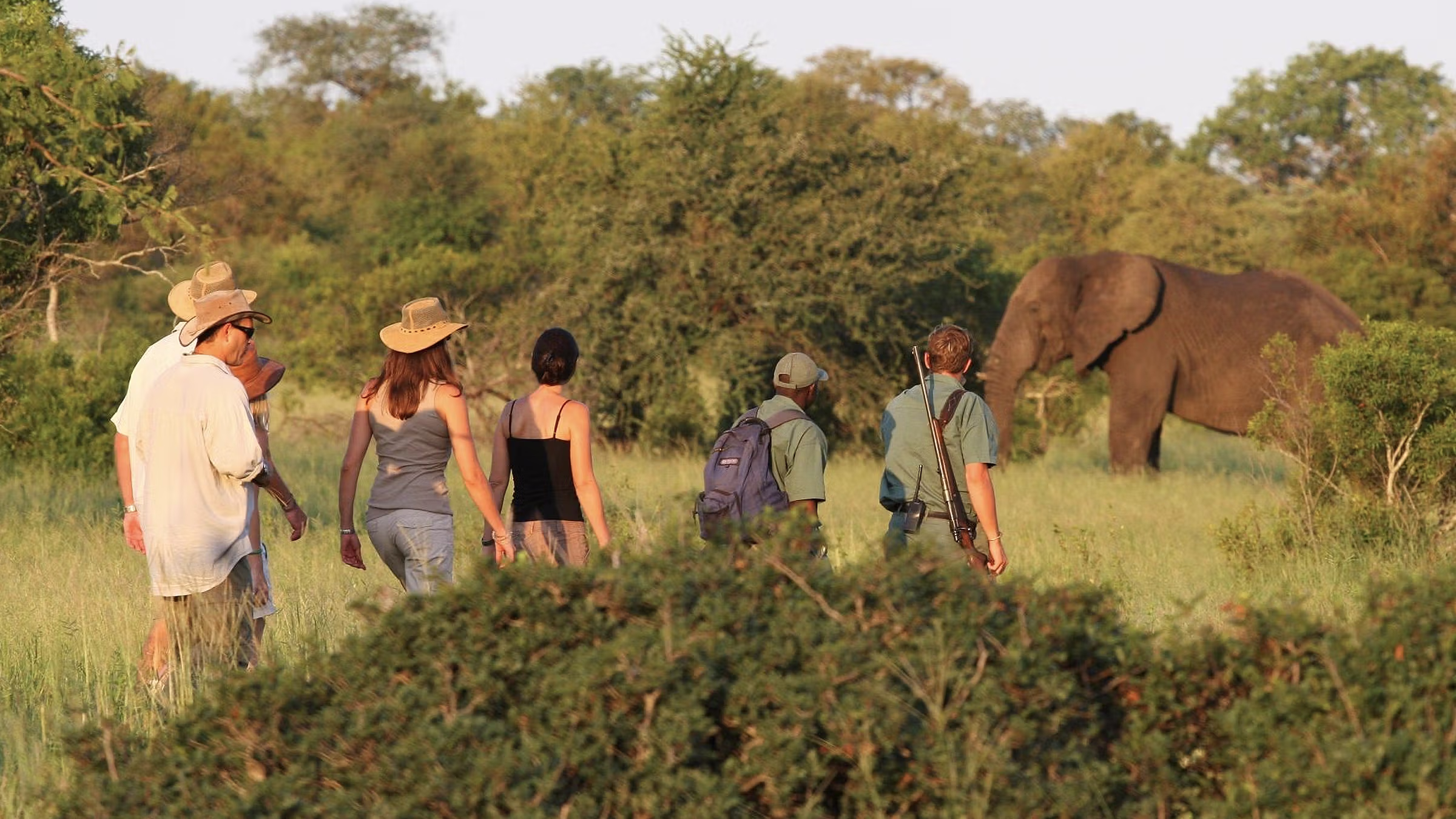Explore Kruger park on foot