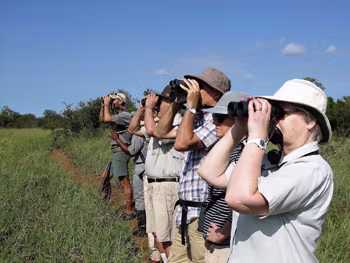 Game viewing on foot