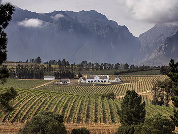 Take a Cape winelands day trip