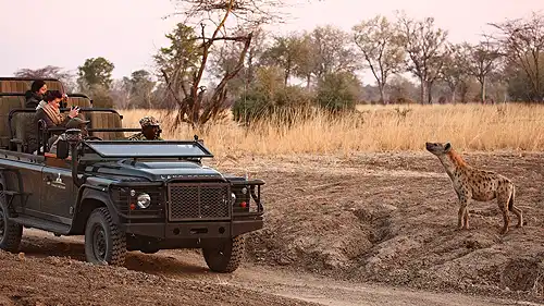 Blick auf den afrikanischen Busch während Ihrer Sambia-Safari