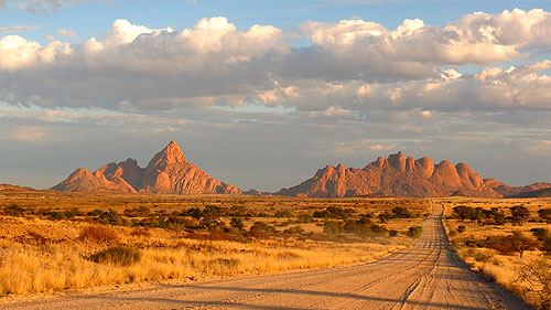 A dusty road winds through the untamed wilderness of Namibia.