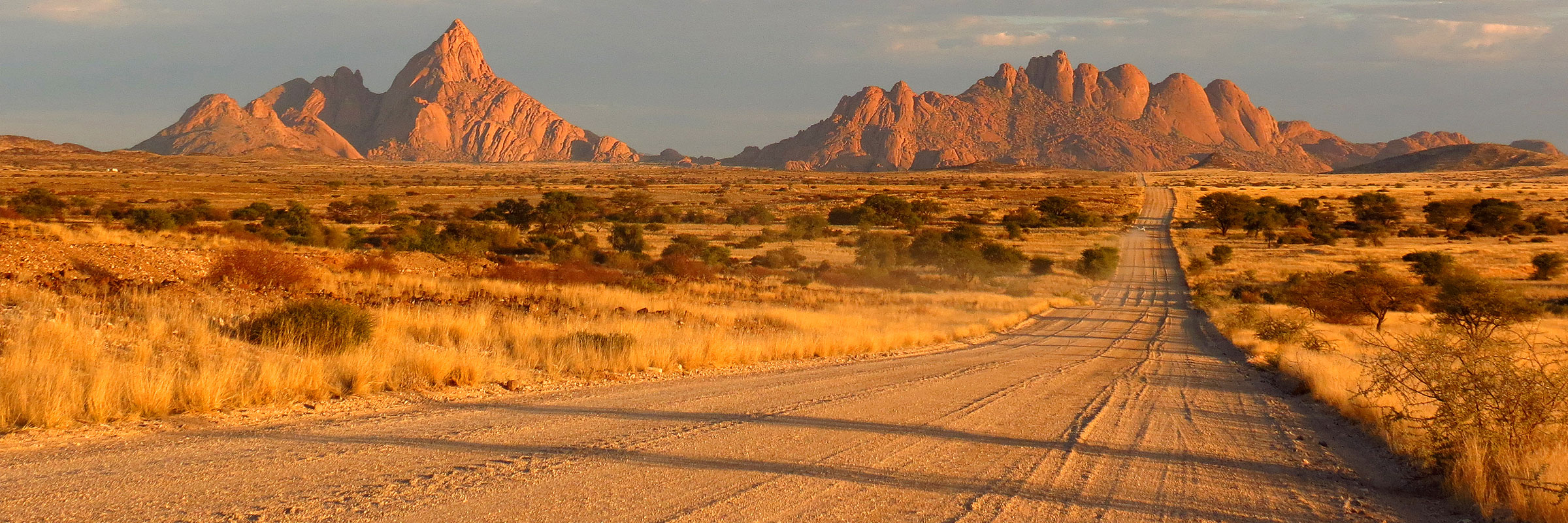 A dusty road winds through the untamed wilderness of Namibia.