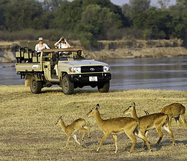 Guests in an open safari vehicle observe antelope in the African bush.