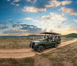 A safari vehicle with guests observing a nearby elephant grazing in the tall grass.