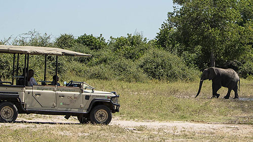Safari-Teilnehmer beobachten Elefanten im Wasser während einer Pirschfahrt im Chobe-Nationalpark.