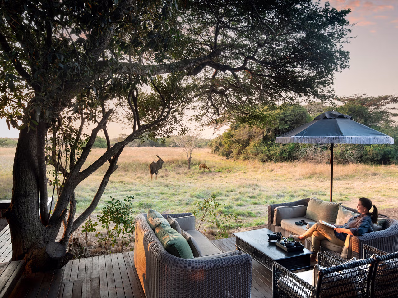 Phinda Vlei Lodge
