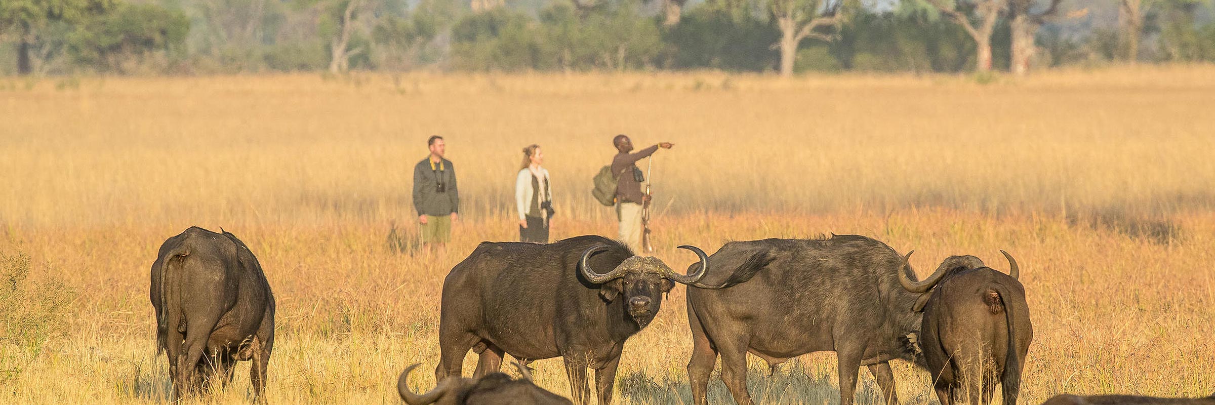 Spectacular sunset view over the bush from your lodge in the Okavango Delta.