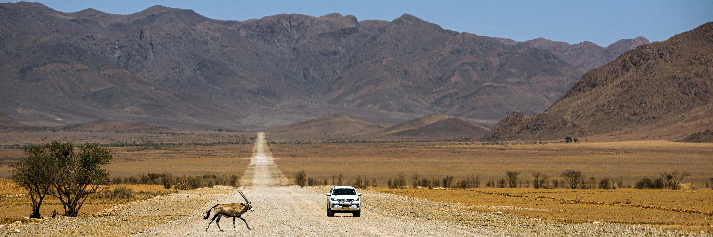 Self-drive vehicle navigates dusty Namibian road in Damaraland as oryx cross ahead.