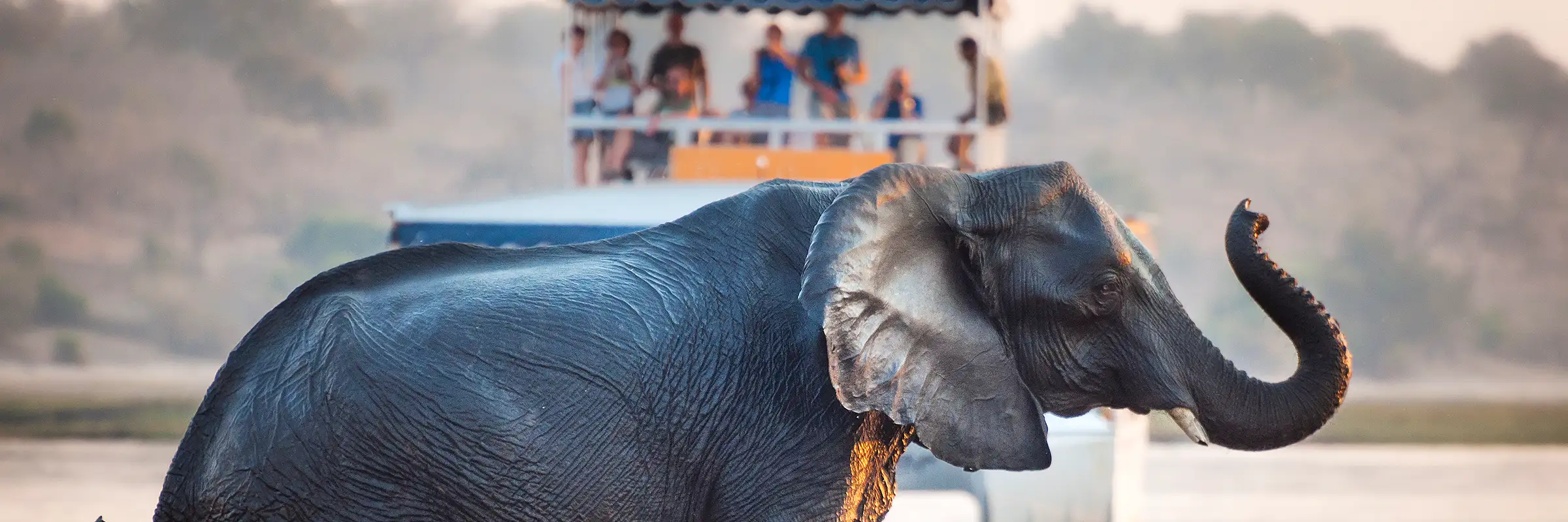 Guests on a boat safari witness an elephant cooling off in the waters of the Chobe River.