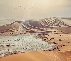 Blick auf einen Sundowner auf der Terrasse der Desert Homestead Outpost. 