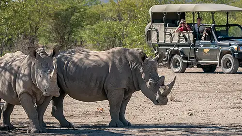 Savoring sundowner drinks with Ongava Lodge overlooking the Etosha landscape.
