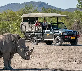 Genießen Sie einen Sundowner in der Ongava Lodge mit Blick auf die Landschaft des Etosha-Nationalparks.
