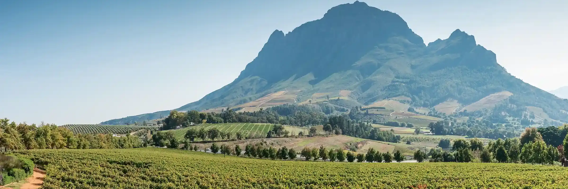 Malerische Weinberge und Winelands-Landschaft bei Kapstadt, eingerahmt von majestätischen Bergen.