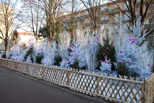 Haie de sapin de noël décorés