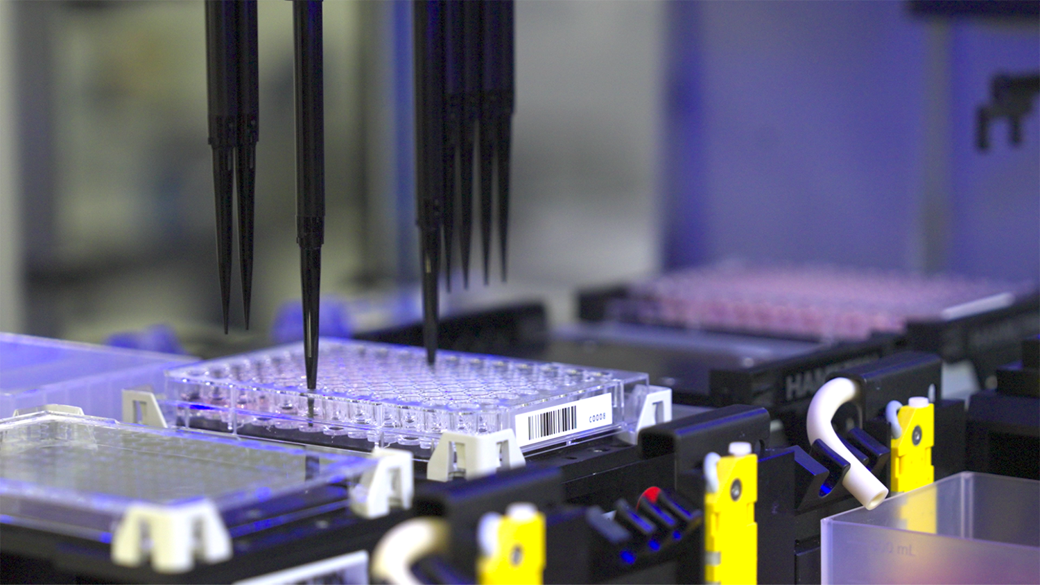 97%の未開拓なヒトのゲノム解釈のために培われた東京科学大の技術群。高機能化を実現するゲノムエンジニアリングを追求するLogomix