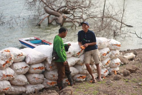 Profit for Purpose: An Innovative Business Model for Agritech Startups