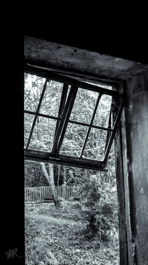eerie window
