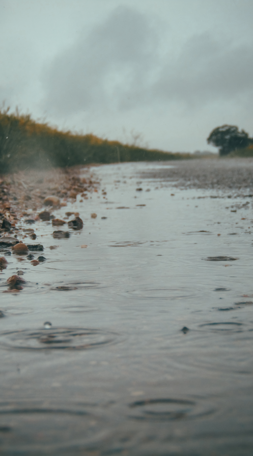 Rain hitting puddle