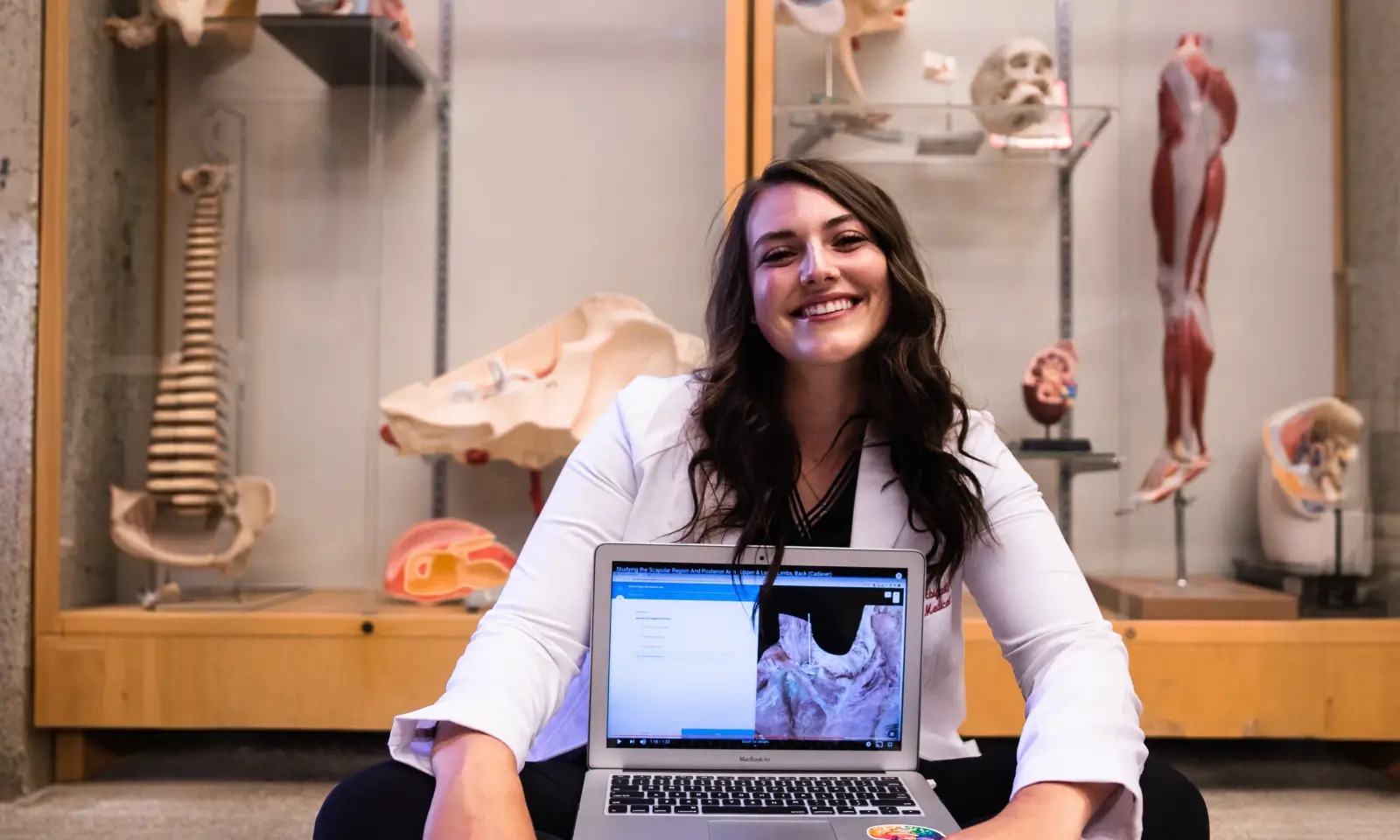 Ace Your Gross Anatomy Class