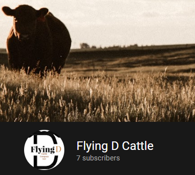 Our Youtube information