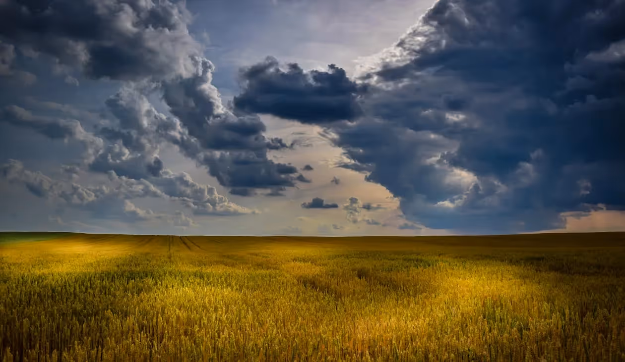 How to Sell New Jersey Land in a Trust?