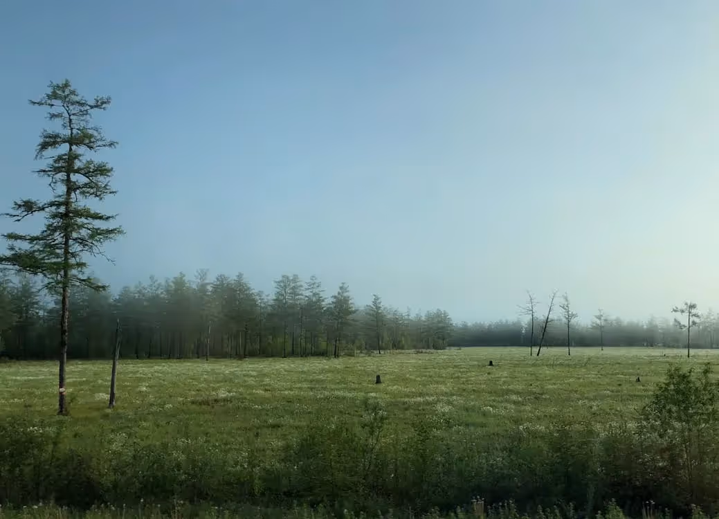 How to Sell Hunting Property in New Jersey?