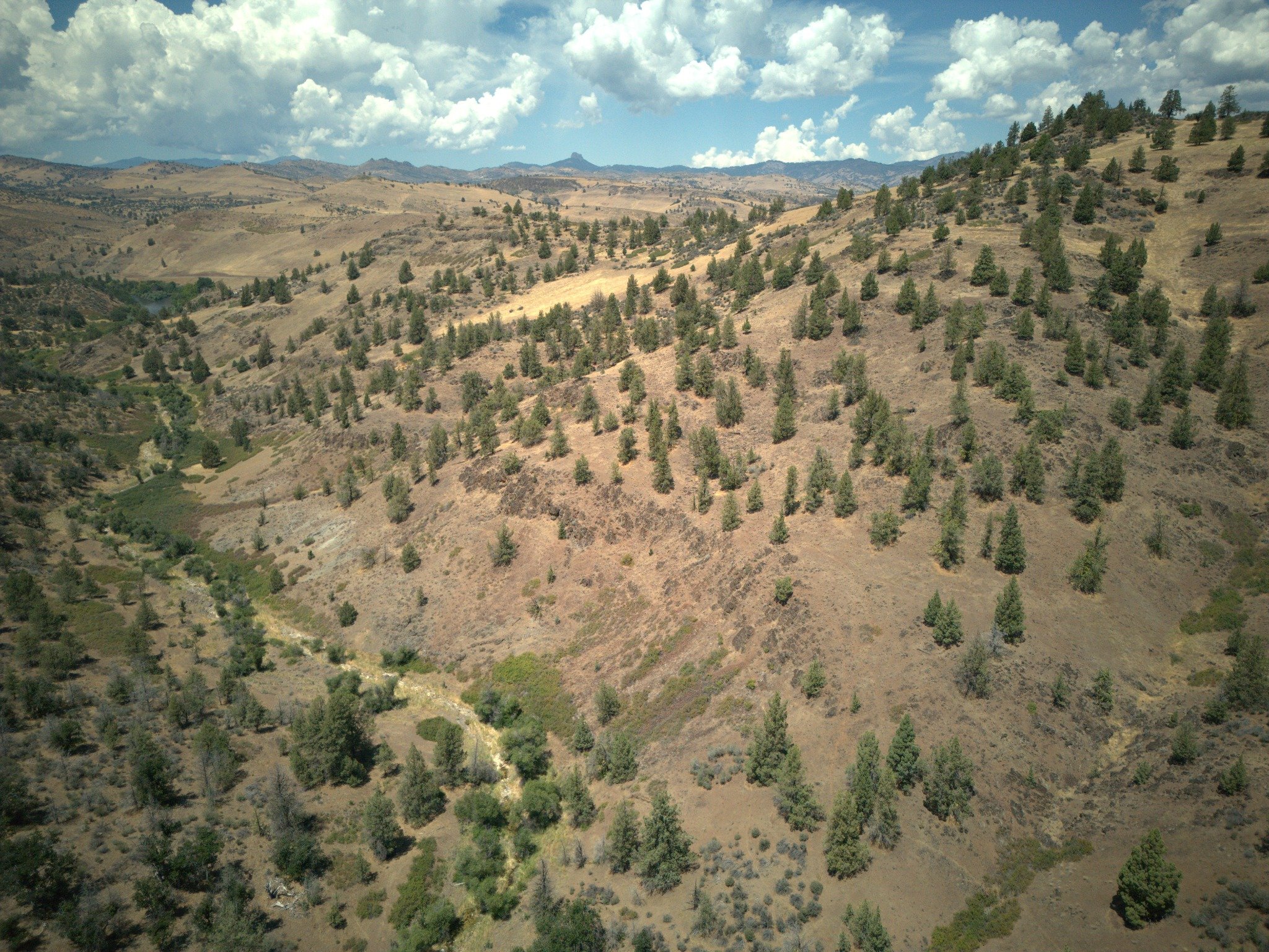 The Appeal of Cash Buyers for Land