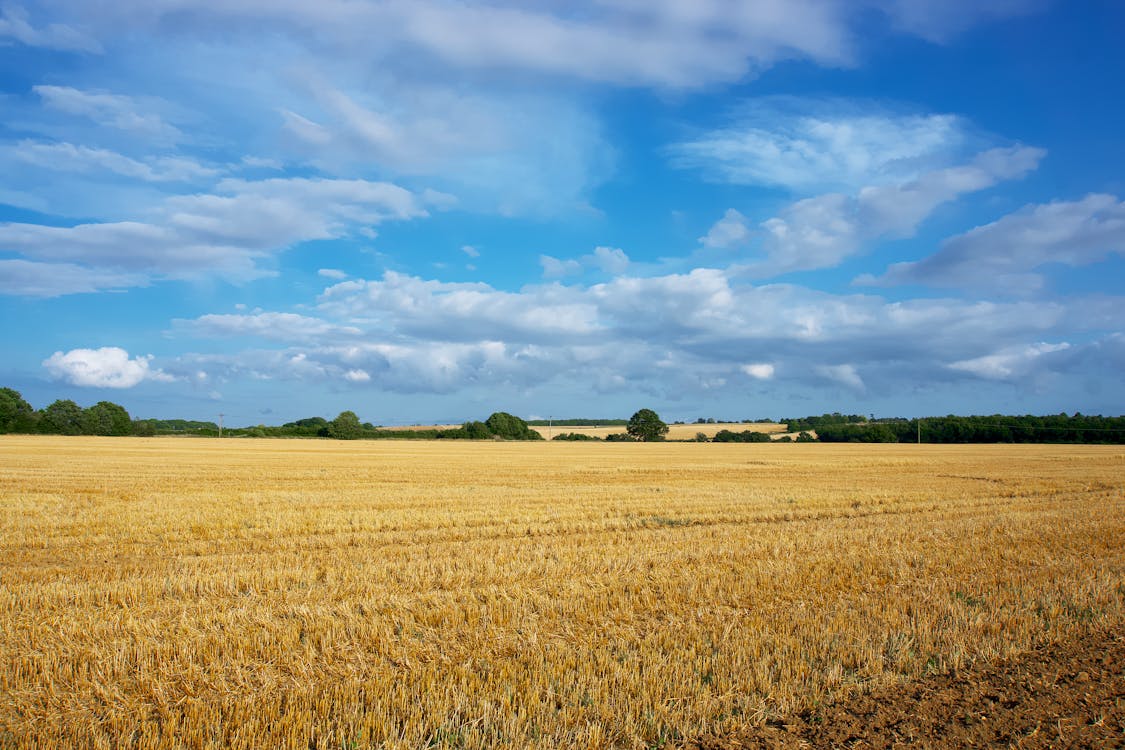 10 reasons why buying land in Montana still makes sense in 2026
