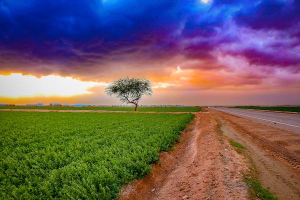 10 Smart Ways to Sell Your Nevada Land Faster in 2026