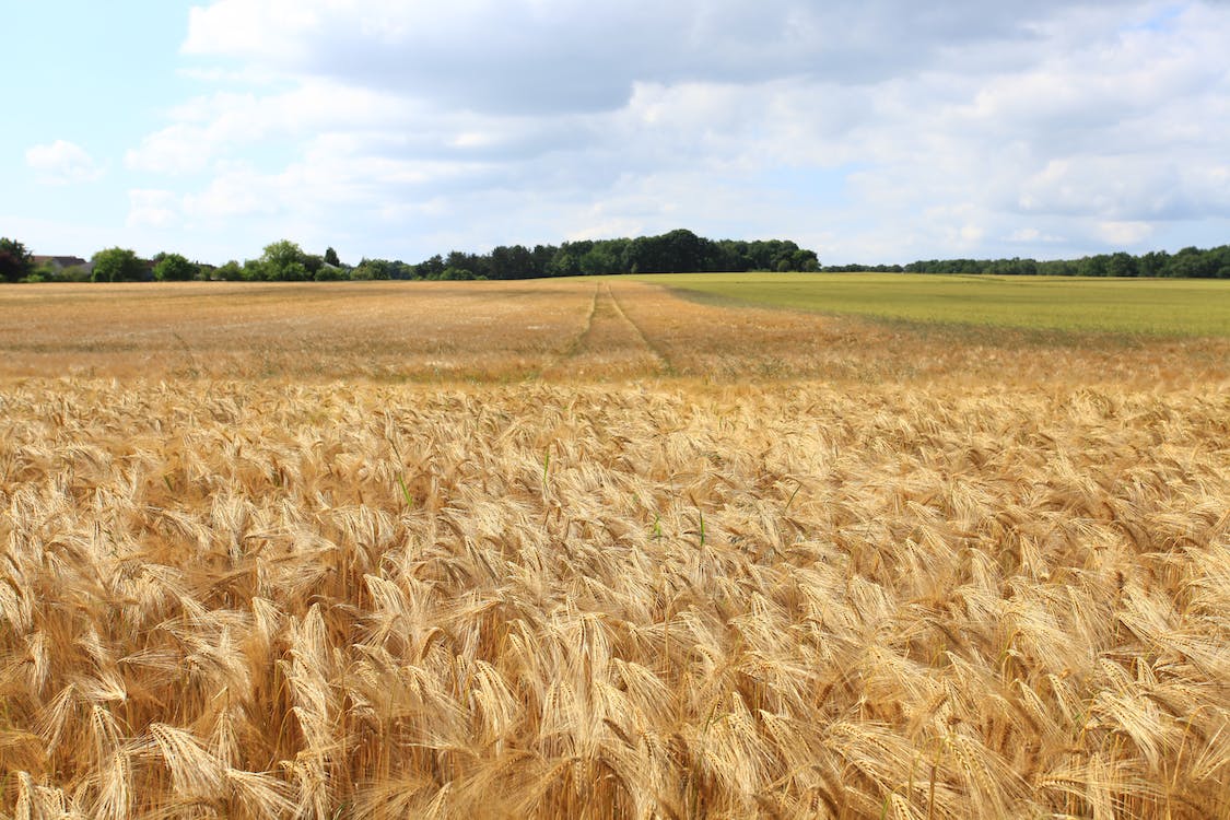 Need to Sell Your Oklahoma Land Fast in 2026? Here’s Help