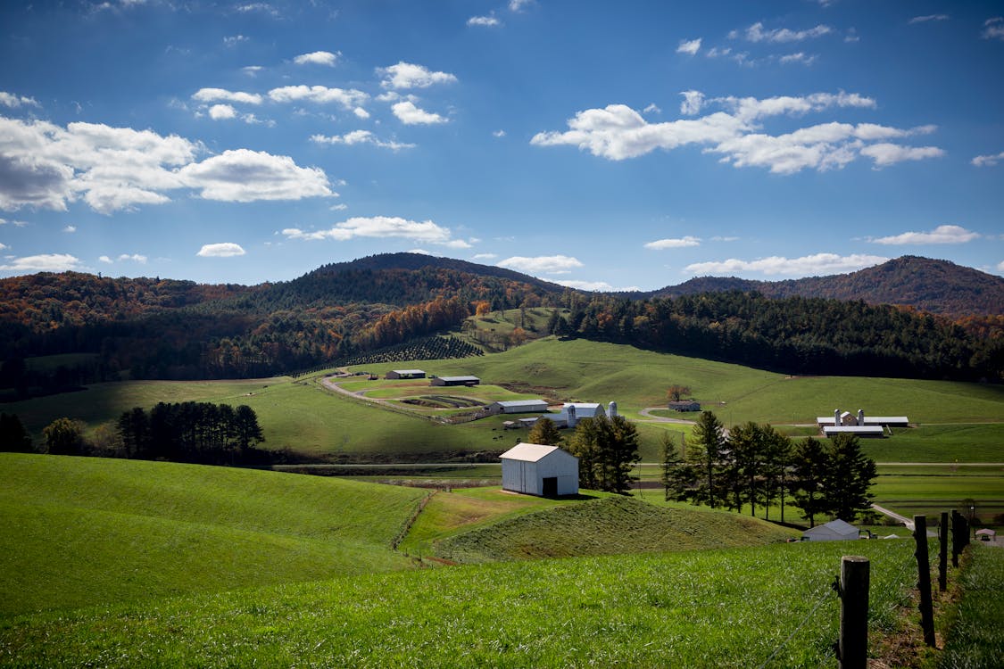 What Does an Acre of Tennessee Land Cost in 2026?