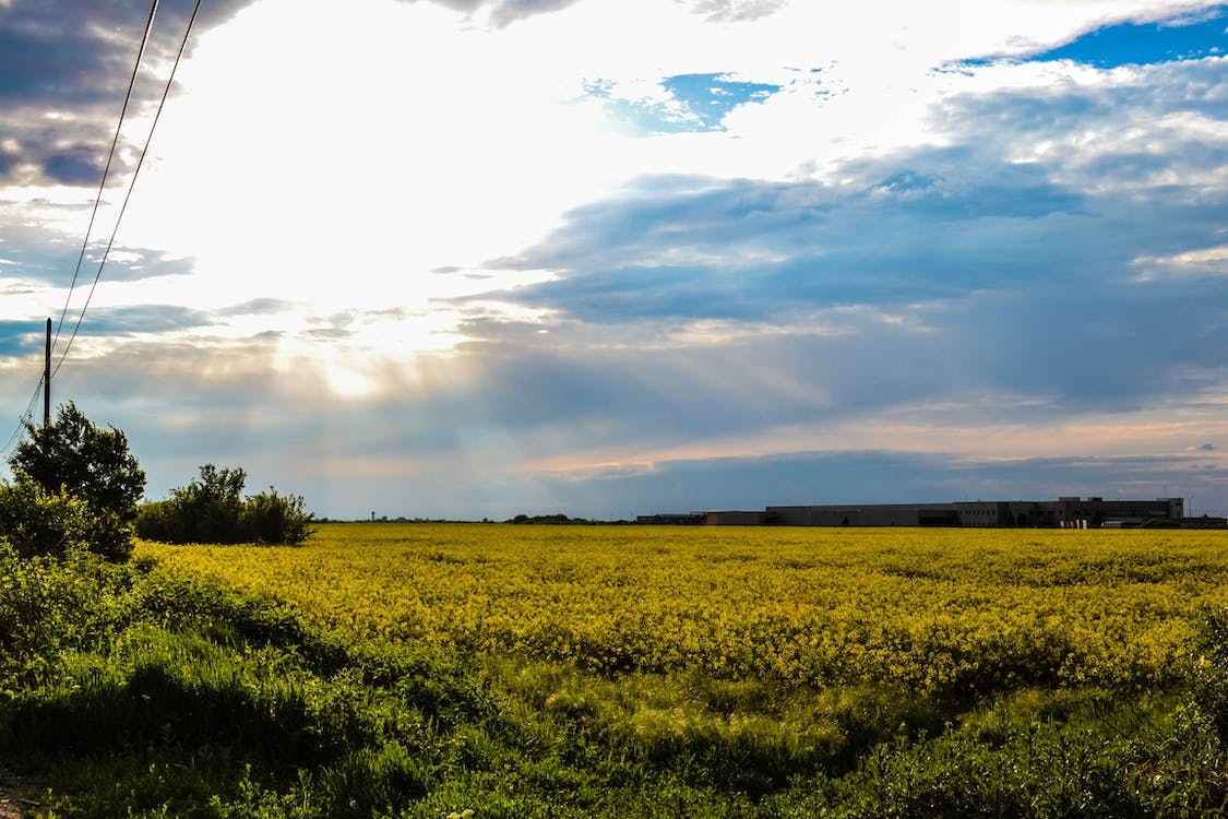 Buying Iowa Land with Cash: A 2026 Step-by-Step Guide