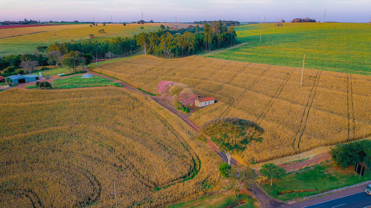 How to Purchase Oregon Land with Cash in 2026